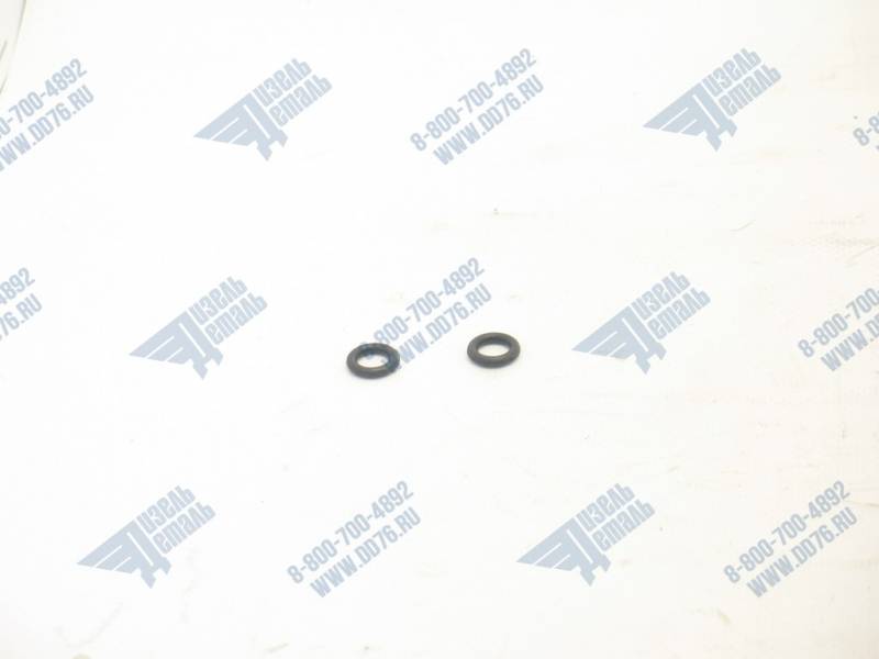 240-1005582-Б Кольцо уплотнительное заглушки масляного канала